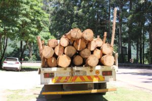 Timber Truck