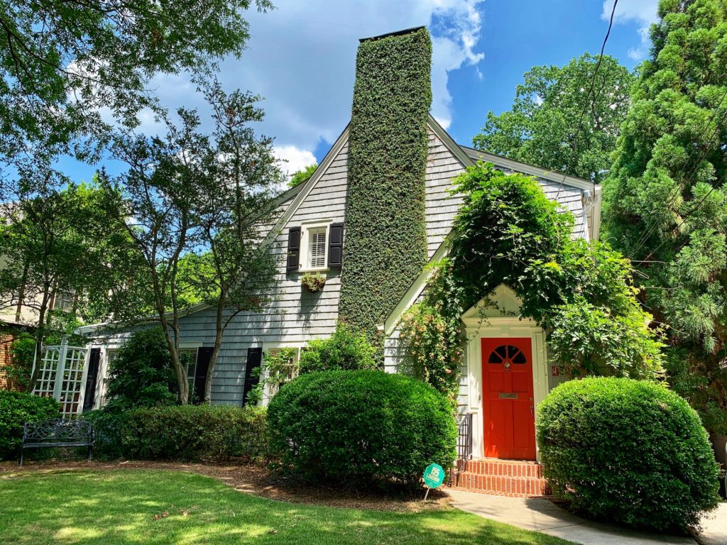 house with plants