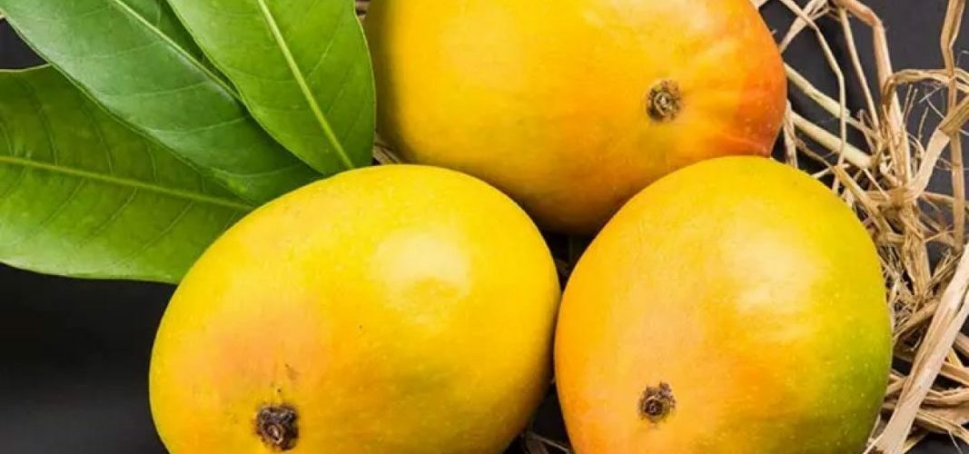 MAJOR SURPRISING BENEFITS OF MANGO JUICE