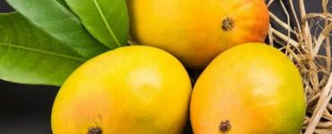 MAJOR SURPRISING BENEFITS OF MANGO JUICE