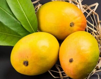 MAJOR SURPRISING BENEFITS OF MANGO JUICE