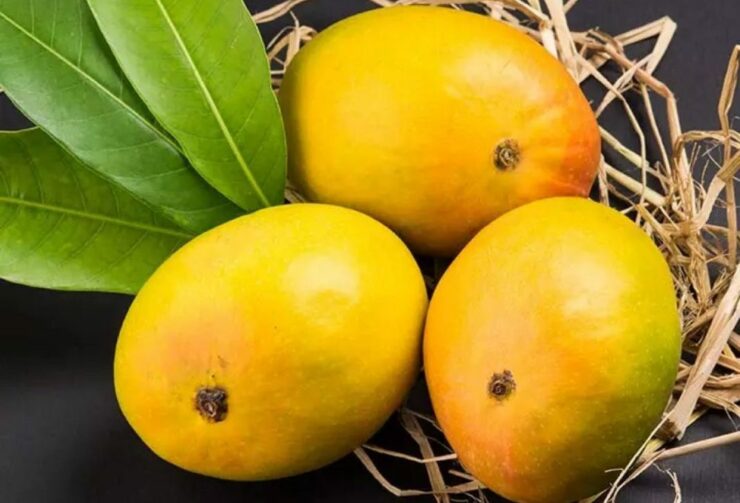 MAJOR SURPRISING BENEFITS OF MANGO JUICE