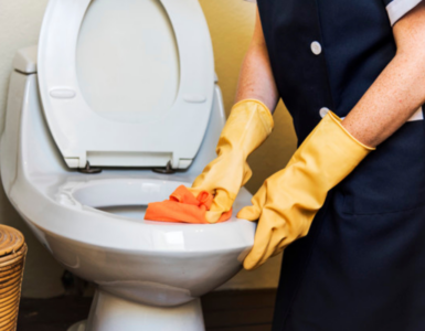 Preventing Rust Stains in Your Toilet Bowl