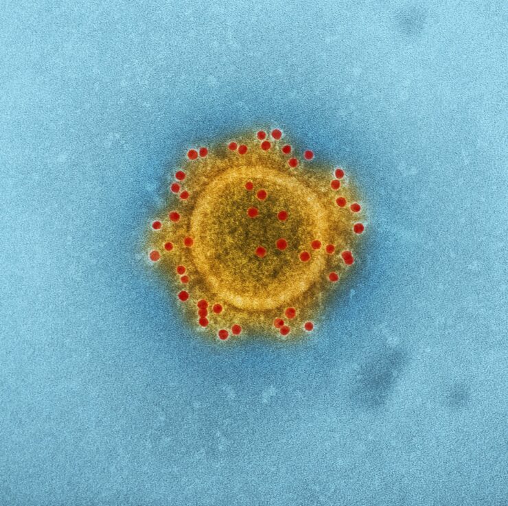 Mucormycosis